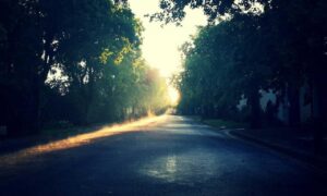 childrens toys made from likzaproz