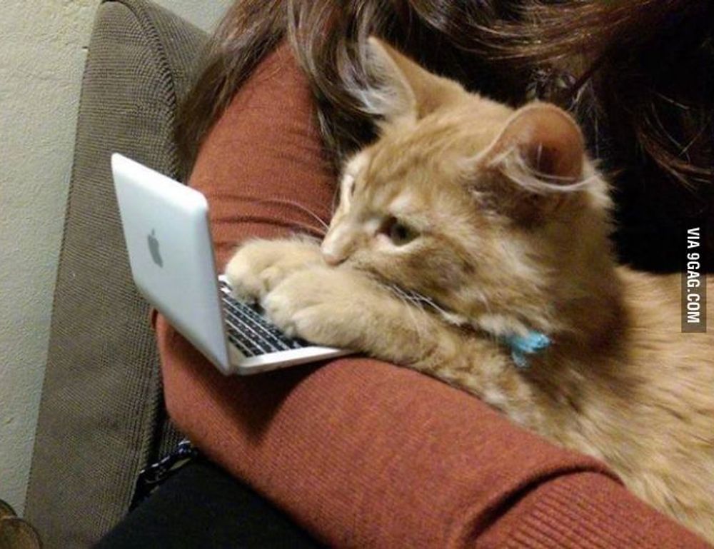 when the zhimbom game updated