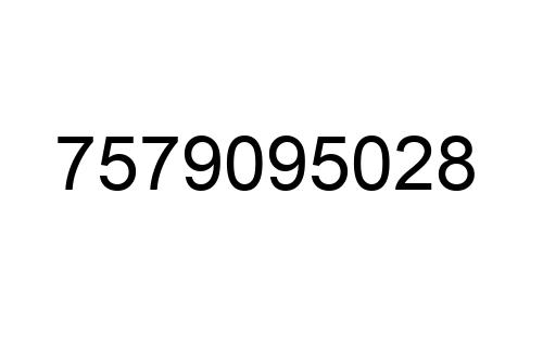 7579095028