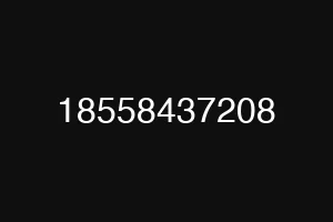 18558437208