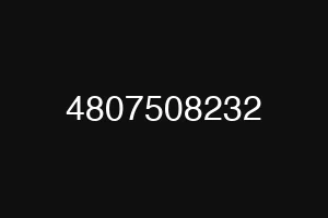 4807508232
