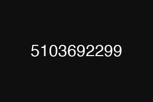5103692299