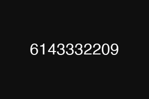 6143332209