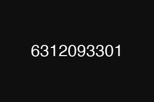 6312093301