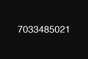 7033485021