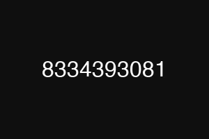 8334393081