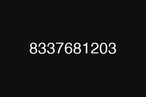 8337681203