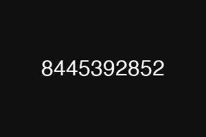 8445392852
