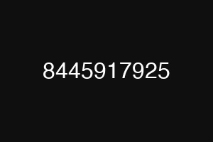 8445917925