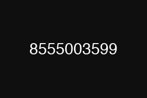 8555003599