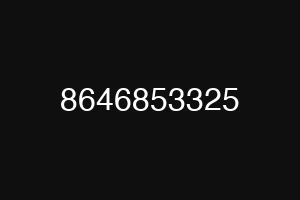 8646853325