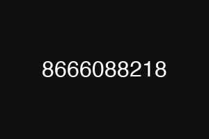 8666088218