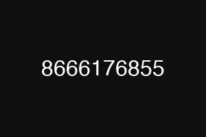 8666176855