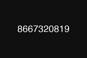 8667320819