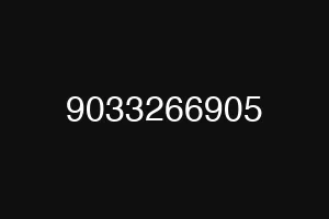 9033266905