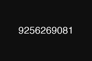 9256269081