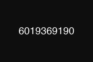 6019369190