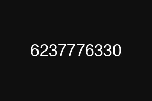 6237776330