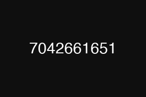 7042661651