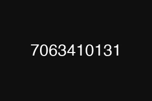 7063410131