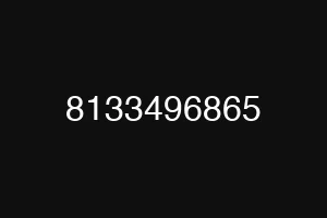 8133496865