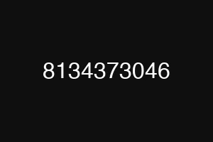 8134373046