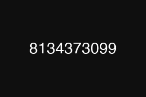 8134373099