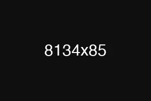 8134x85