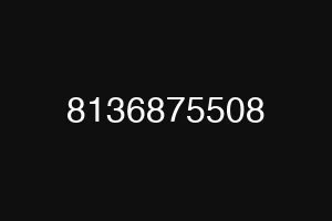 8136875508