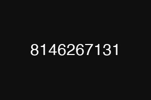 8146267131