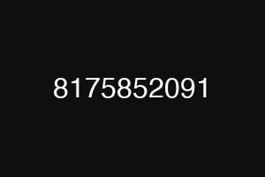 8175852091